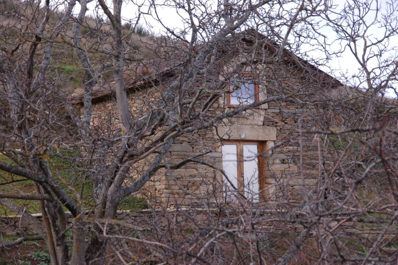 Santa Maria de Émeres Quinta Da Alagoaヴィラ エクステリア 写真