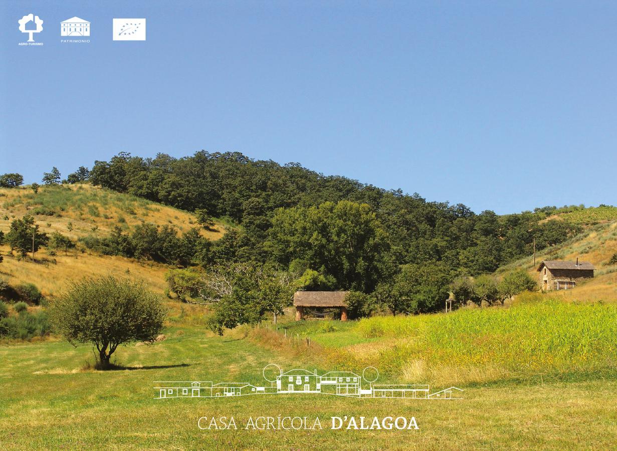 Santa Maria de Émeres Quinta Da Alagoaヴィラ エクステリア 写真
