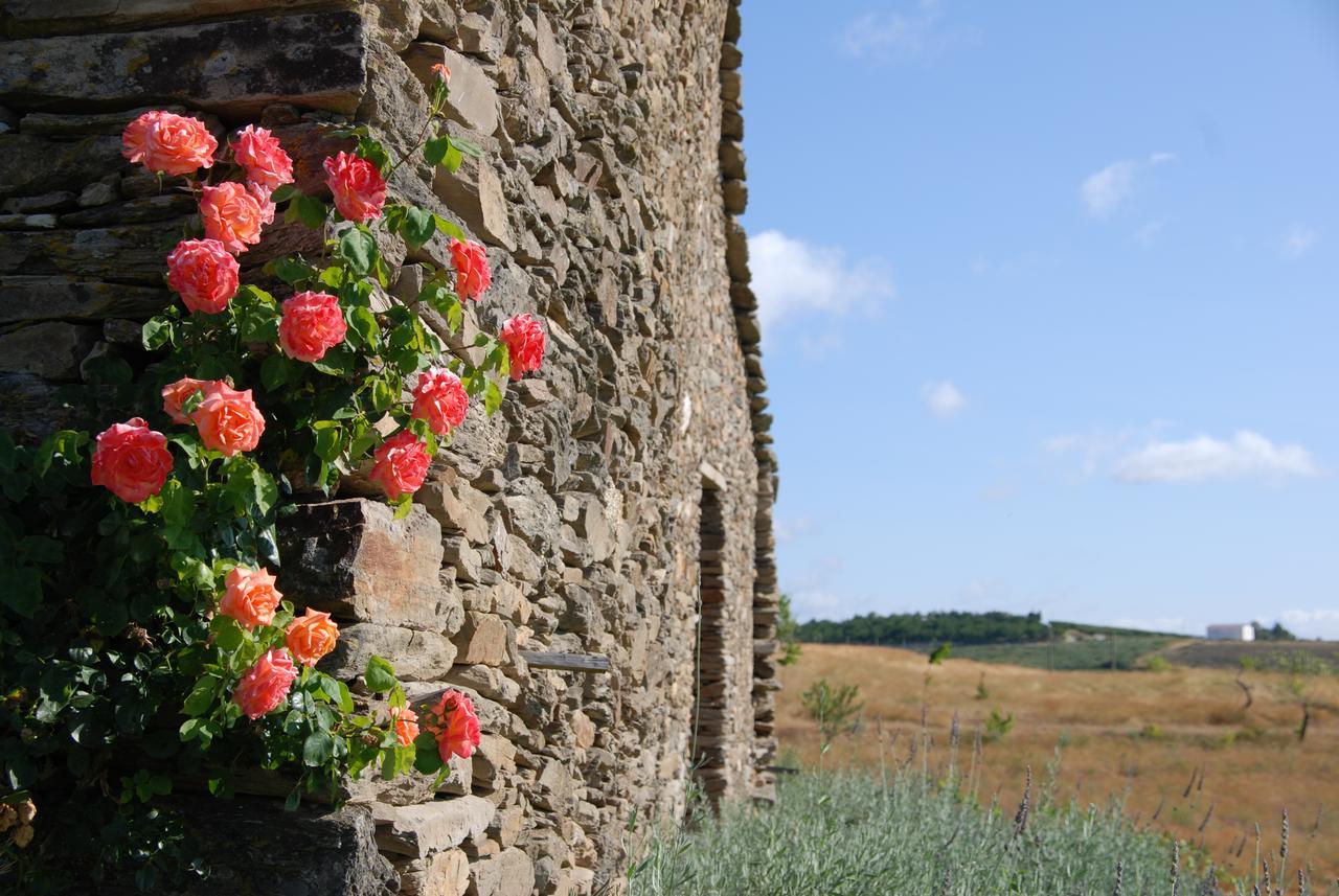 Santa Maria de Émeres Quinta Da Alagoaヴィラ エクステリア 写真